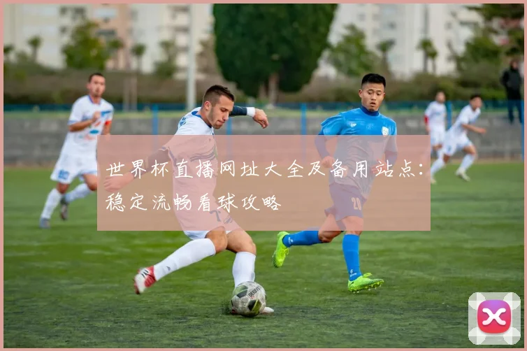 世界杯直播网址大全及备用站点：稳定流畅看球攻略