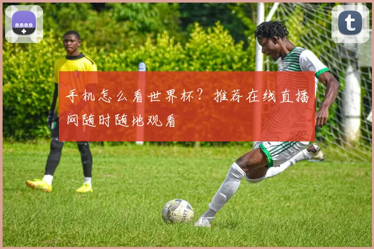 手机怎么看世界杯？推荐在线直播网随时随地观看